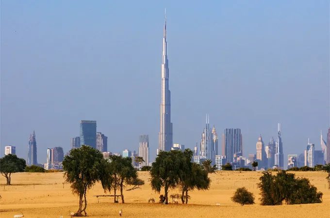 Middle East wires & cables market set for $32 billion surge amid UAE infrastructure boom