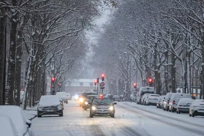 Global Deep Freeze: Rare Cold Snap Disrupts Regions Worldwide